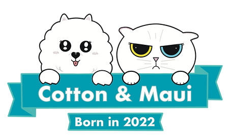 Cotton and Maui